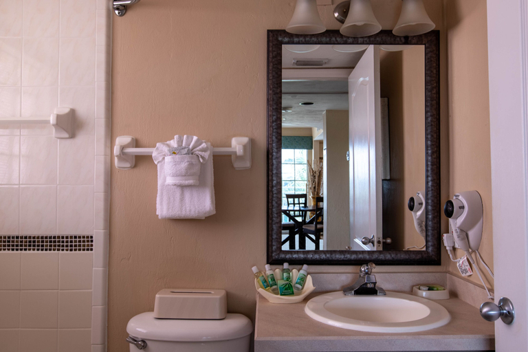 Bathroom 5, Sea Shells Beach Club, Volusia