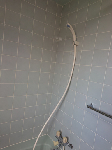 Bathroom 3, Mezon Max Rycom 4F, Okinawa