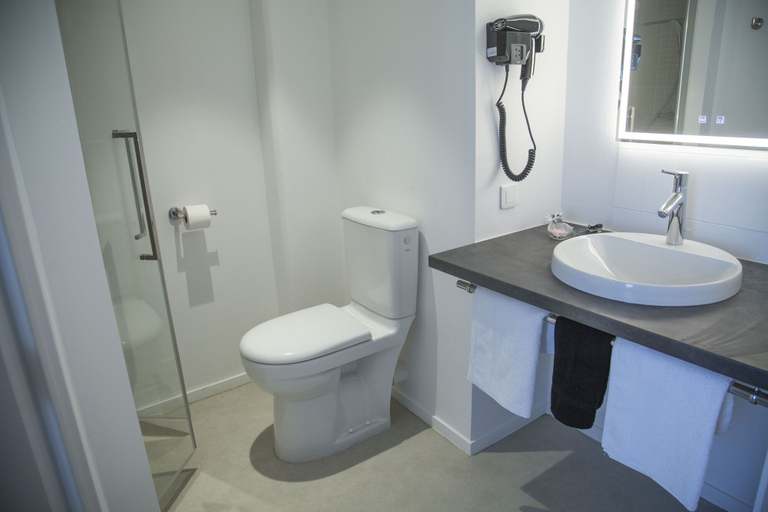 Bathroom 3, Hôtel Le Grand Barnum, Rhône