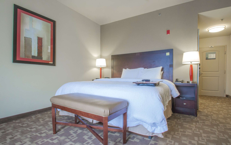 Bedroom 3, Hampton Inn Greenville, Pitt