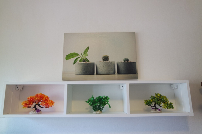 Food & Drinks, Le terrazze rooms, Rovigo