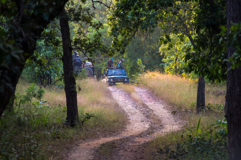 Others 5, Syna Tiger Resort - Bandhavgarh, Umaria