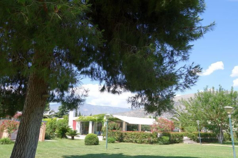 Others 5, Nafsika Beach, Central Greece