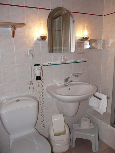 Bathroom 3, Hotel Heinz Plauen, Vogtlandkreis