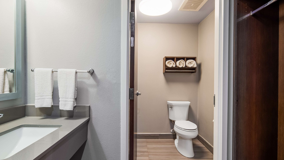 Bathroom 4, Best Western Town Center Inn, Hidalgo