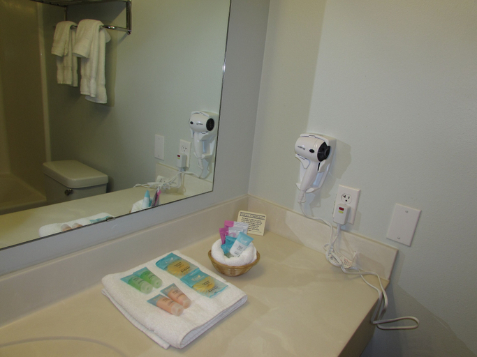 Bathroom 4, FairBridge Inn & Suites Dupont, Pierce