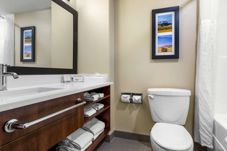 Bathroom 4, Comfort Inn Lethbridge, Division No. 2