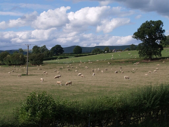 Others 5, Quixhill - Denstone - Dove Meadow B & B, Staffordshire