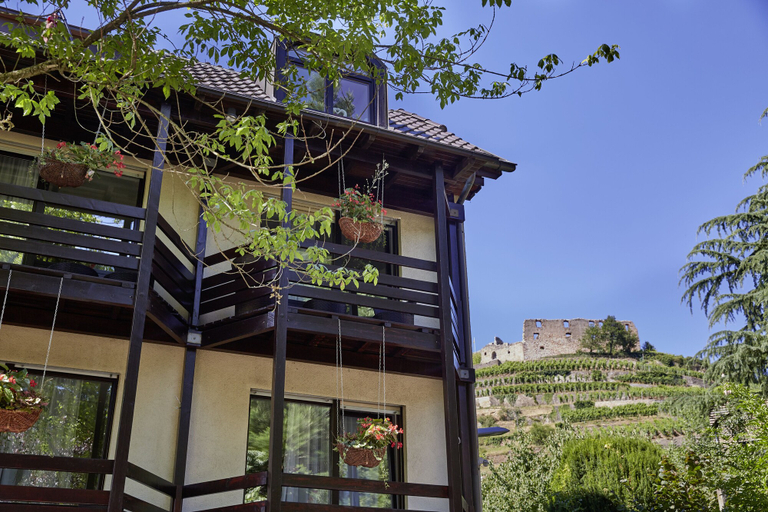 Exterior & Views 2, Haus Goethe in Staufen, Breisgau-Hochschwarzwald