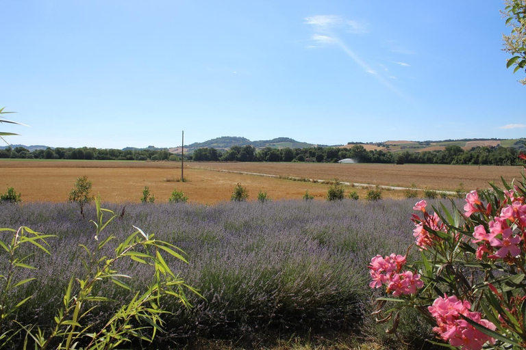 Others 5, Agriturismo Bassarì, Macerata