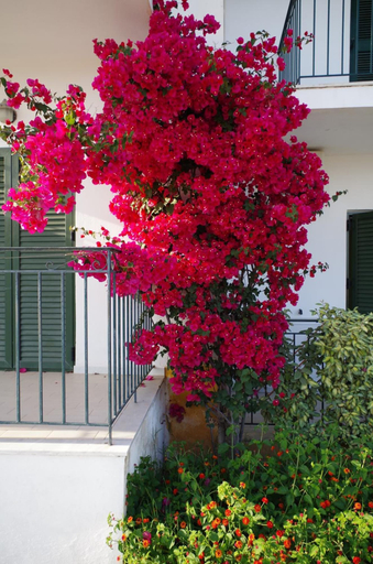 Exterior & Views 2, Hotel Esperos, Thessaly