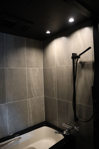 Bathroom 3, Hakuba Hokujo, Hakuba