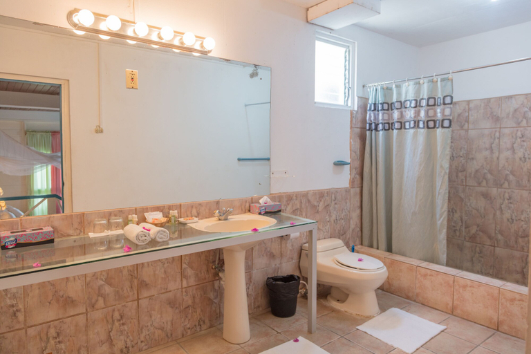 Bathroom 4, Half Moon Blue