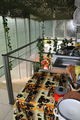 Food & Drinks, Delif Guest House, Anapskiy rayon