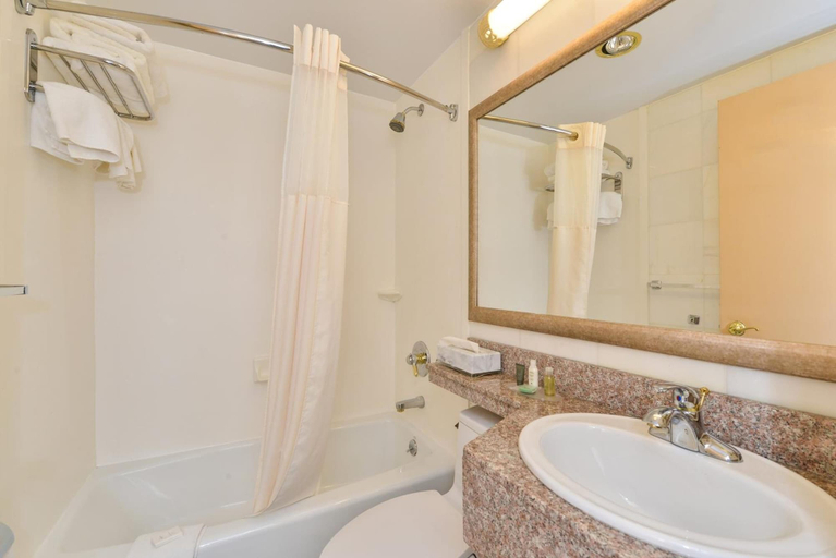 Bathroom 3, Lex View Inn at JFK Airport, New York