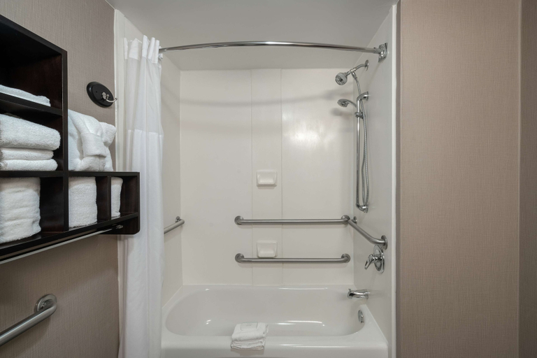 Bathroom 5, Hampton Inn Dublin, Pulaski