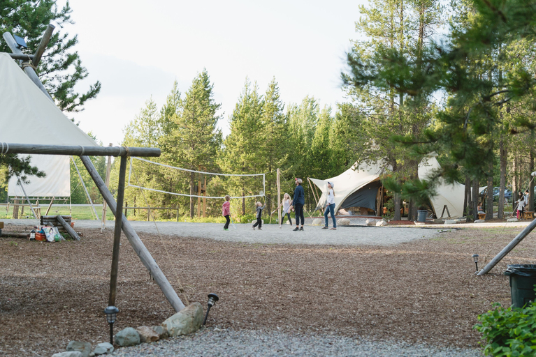 Others 5, Under Canvas Glacier, Flathead