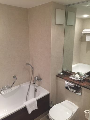 Bathroom 5, Castleknock Hotel, Dublin