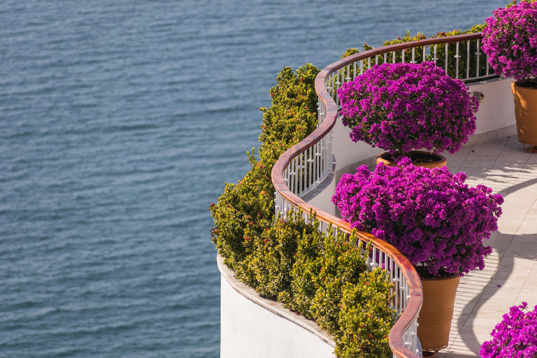 Exterior & Views 2, Grand Miramar All Luxury Suites & Residences, Puerto Vallarta