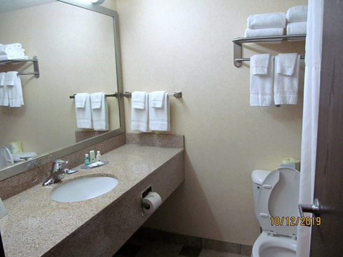 Bathroom 3, Quality Inn Fort Payne, De Kalb