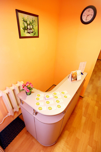 Others 3, MANGO hotel, Sankt-Peterburg gorsovet