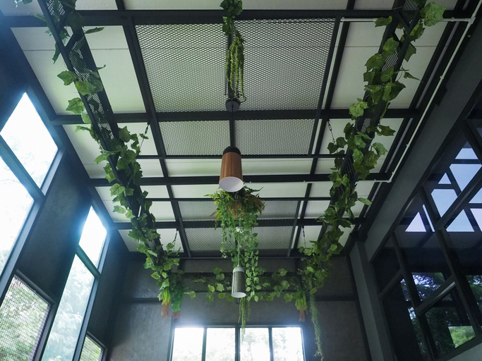 Others 5, The Nest Hotel by Ploy, Muang Nakhon Ratchasima