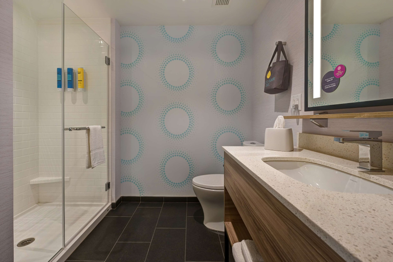 Bathroom 4, Tru by Hilton Mooresville, Iredell