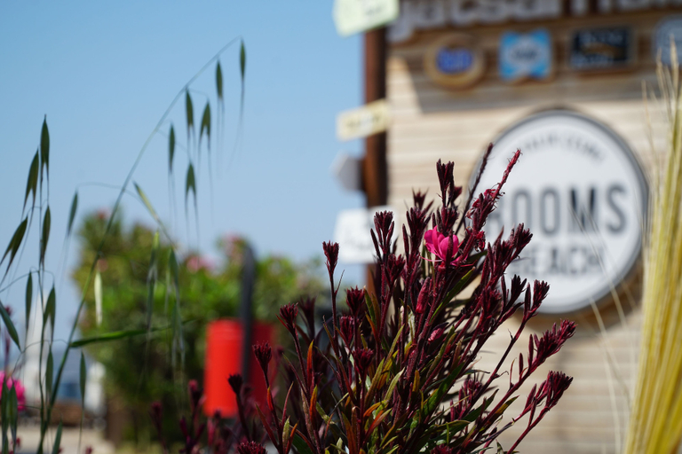 Exterior & Views 2, Rooms Smart Luxury Hotel & Beach, Çeşme