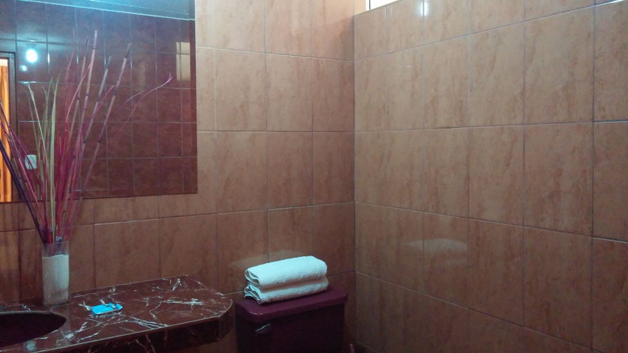 Bathroom 4, Royal Inca Hotel, Lima