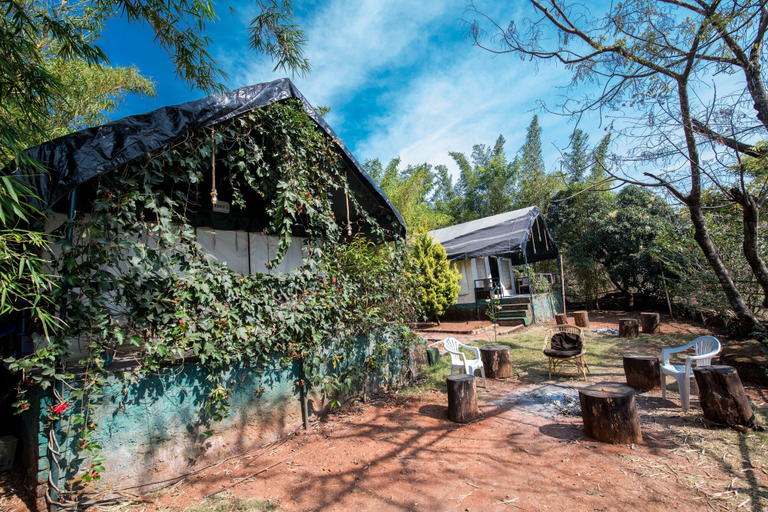 Exterior & Views 2, Umbrella Inn, Satara