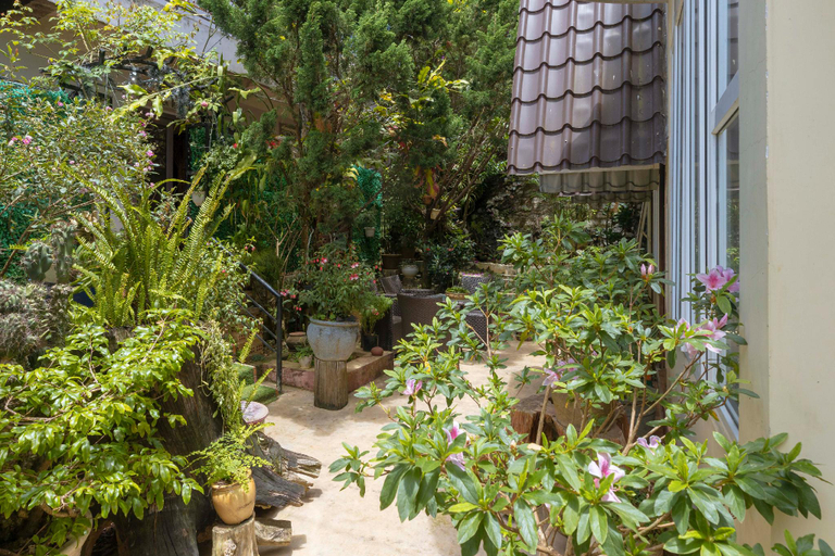 Others 3, Homestay VuonTung (Pine Garden), Đà Lạt