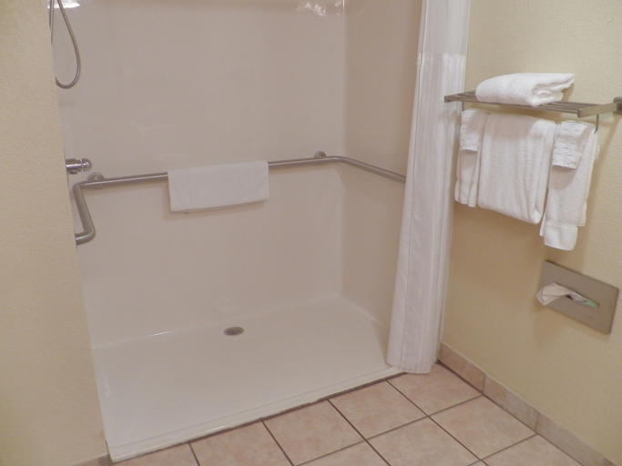 Bathroom 4, Best Western Of Wise, Wise