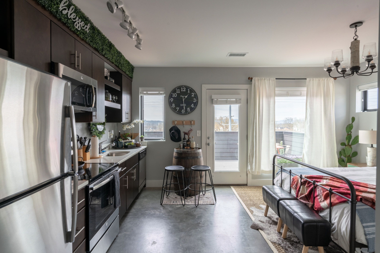 Others 4, Rustic Luxe Studio Apartment with Rooftop Deck, Davidson