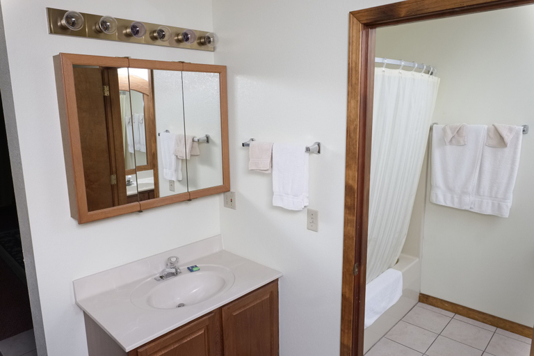 Bathroom 4, Four Seasons Motel, Posey