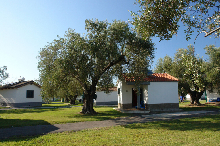 Exterior & Views 2, Villaggio Turistico Elea, Salerno