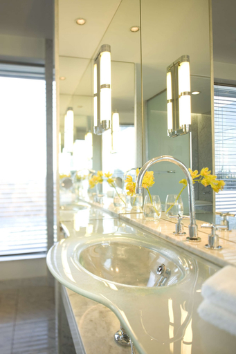 Bathroom 5, Park Hyatt Mendoza, Capital