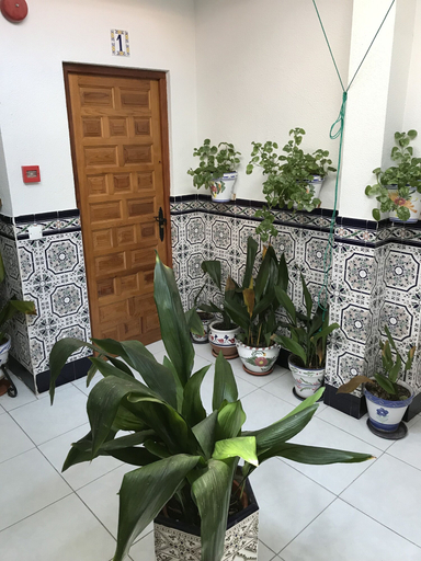 Others 3, Pension Los Molinos, Ciudad Real