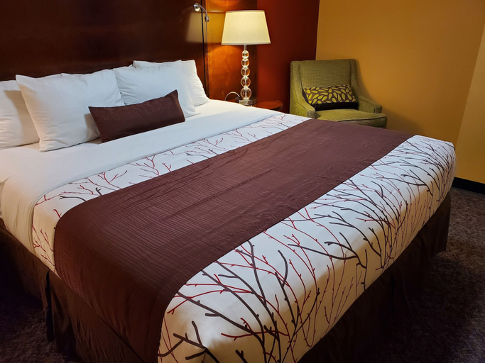 Bedroom 5, Olympic Inn & Suites, Grays Harbor