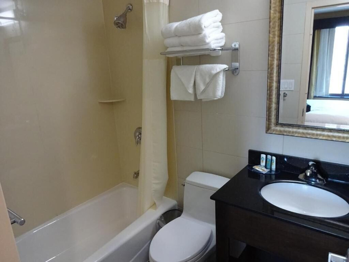 Bathroom, Pitkin Hotel, New York