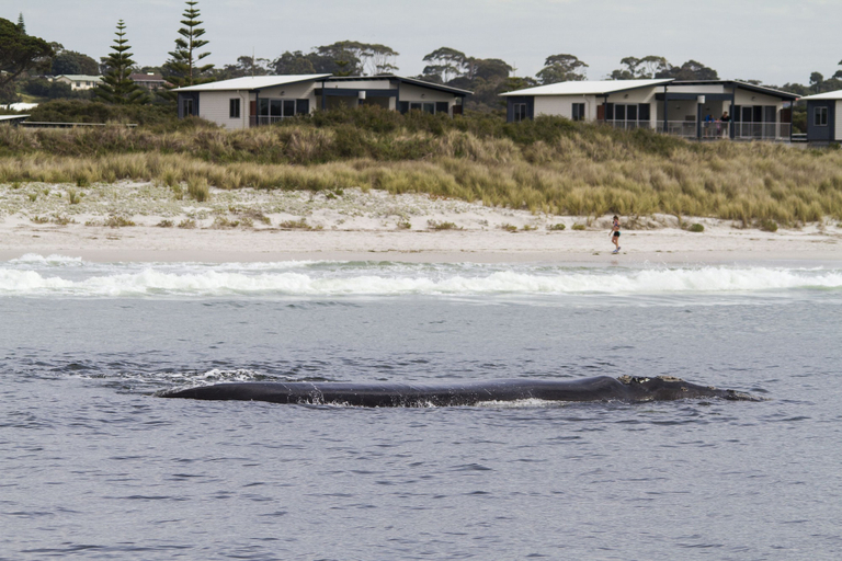 Exterior & Views 2, BIG4 Middleton Beach Holiday Park, Albany
