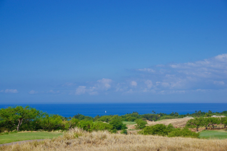 Others 4, Kumulani at Mauna Kea, Hawaii