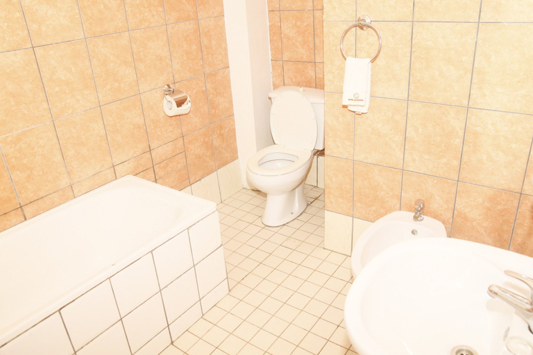 Bathroom 3, Hotel Le Chateau, Wouri