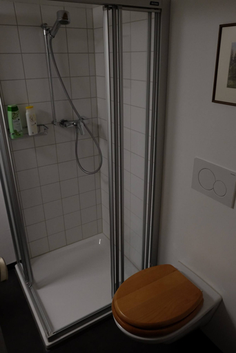 Bathroom, Pension Gimmelwald, Interlaken