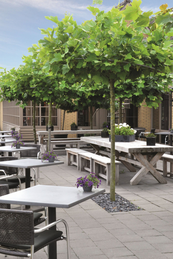 Food & Drinks 4, Fletcher Hotel-Restaurant Heiloo, Heiloo