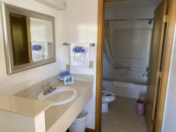 Bathroom 4, Oasis Botique Motel, Colfax