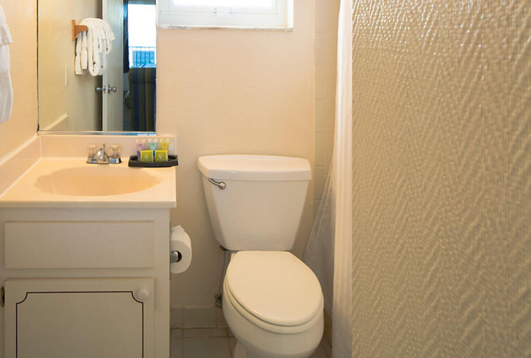 Bathroom 4, Dolphin Beach Club, Volusia