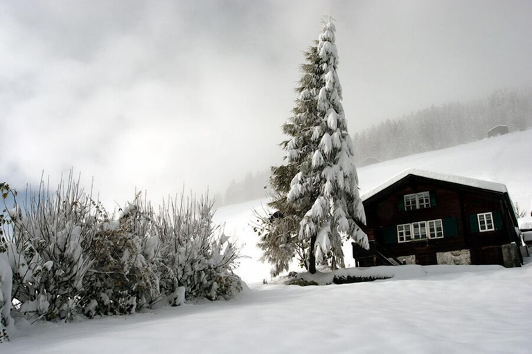 Snow and ski sports 4, Pension Gimmelwald, Interlaken
