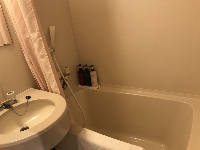 Bathroom, Sawa Hotel, Fujikawaguchiko