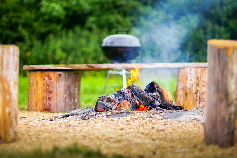 Food & Drinks, Grey Willow Yurts, Devon