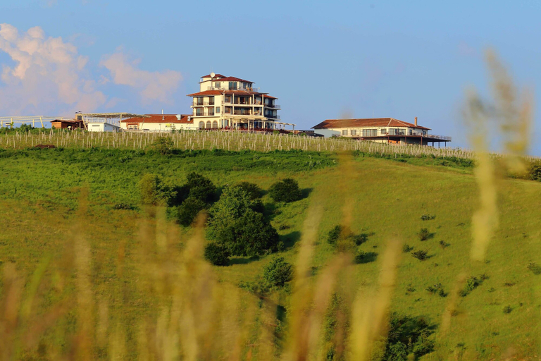 Exterior & Views 2, Seven Generations Winery Hotel & SPA, Ivanovo